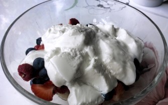 Joghurt selbst gemacht